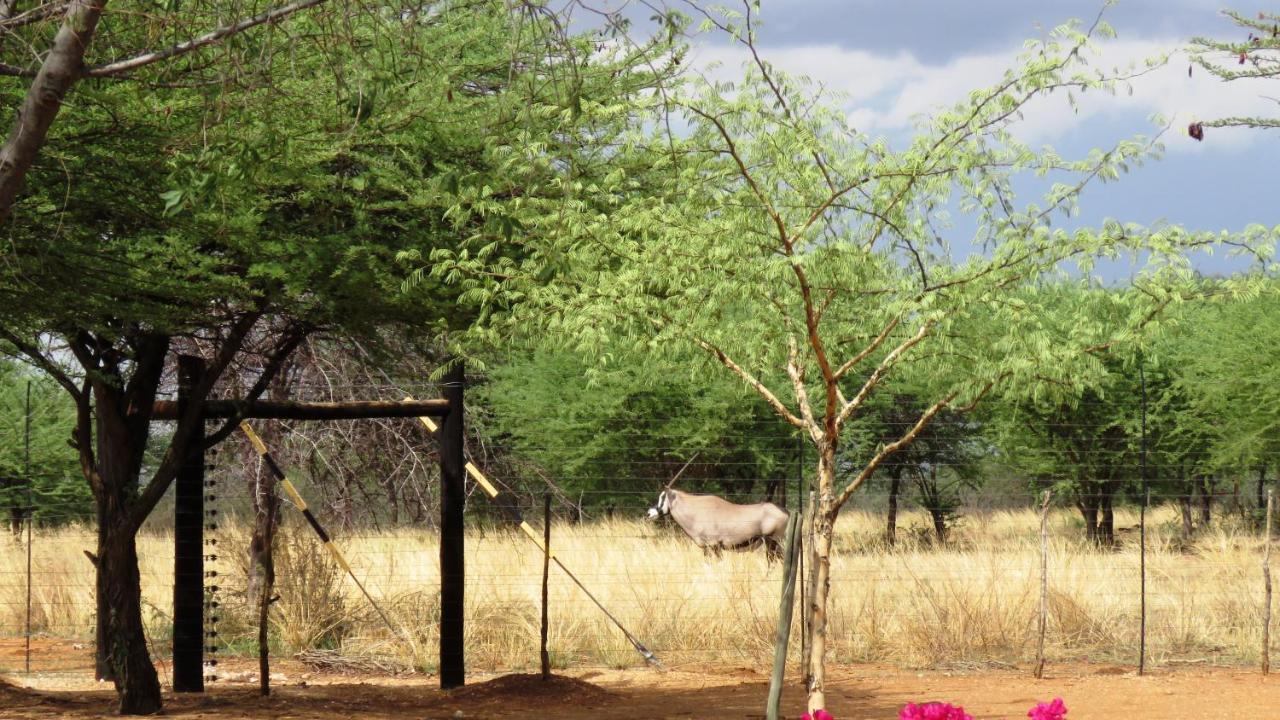 Lion'S Den Guesthouse Otjiwarongo Buitenkant foto