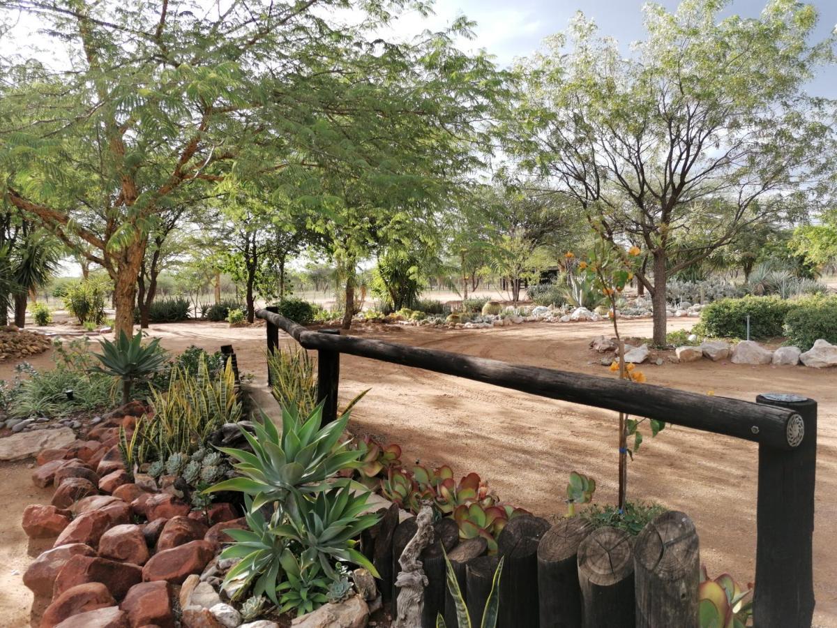 Lion'S Den Guesthouse Otjiwarongo Buitenkant foto