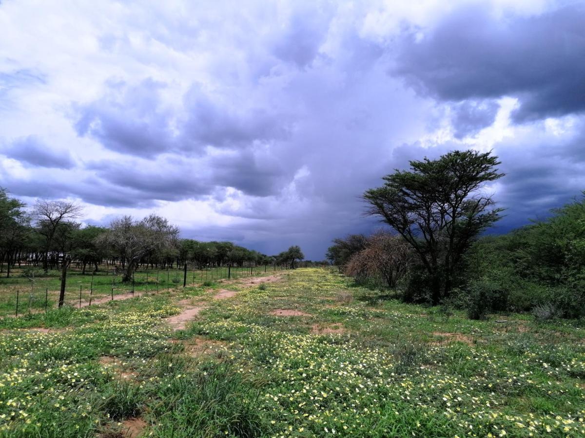 Lion'S Den Guesthouse Otjiwarongo Buitenkant foto