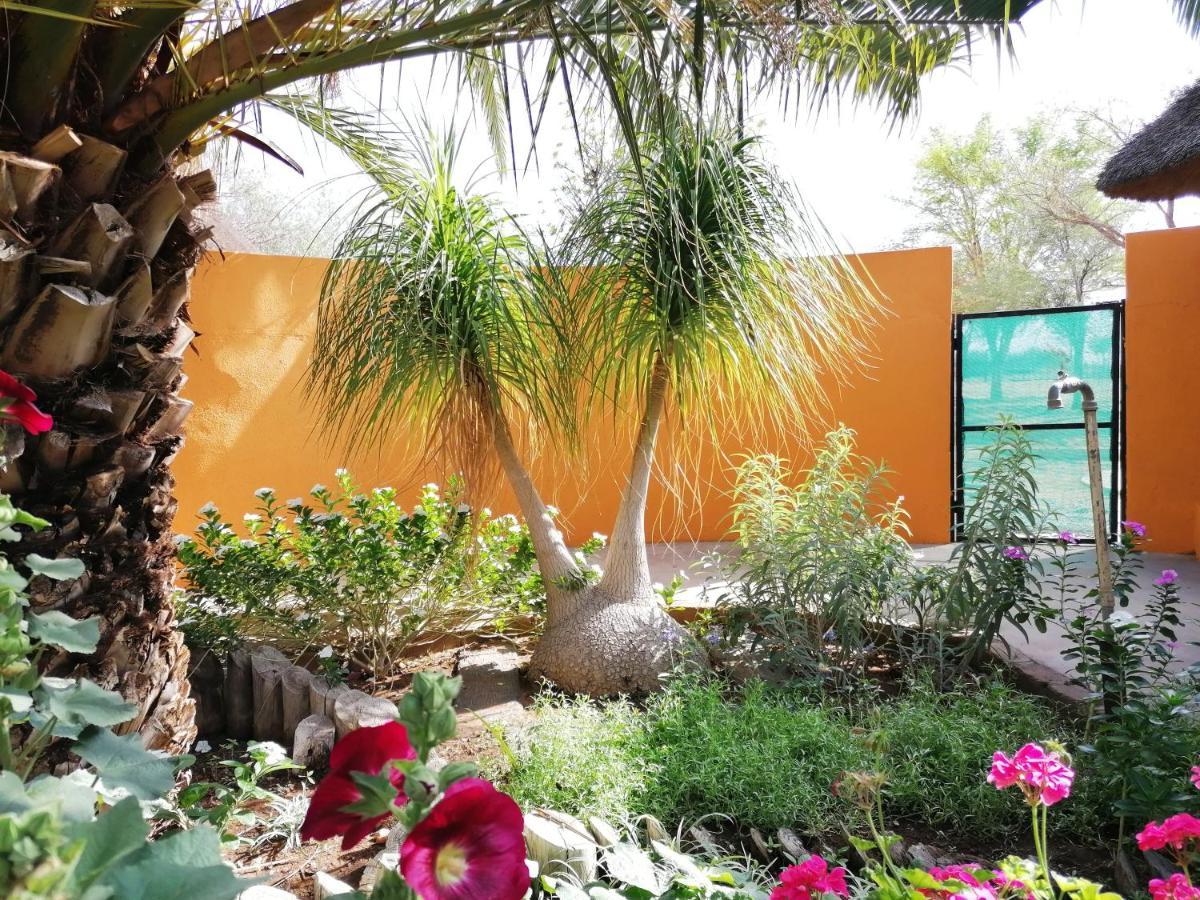 Lion'S Den Guesthouse Otjiwarongo Buitenkant foto