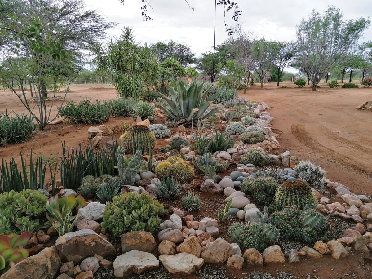 Lion'S Den Guesthouse Otjiwarongo Buitenkant foto