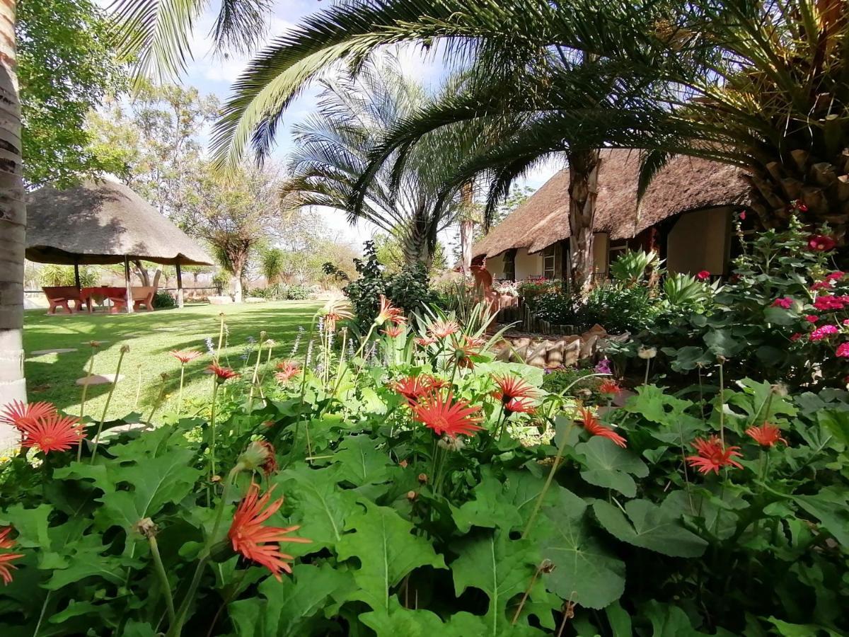 Lion'S Den Guesthouse Otjiwarongo Buitenkant foto