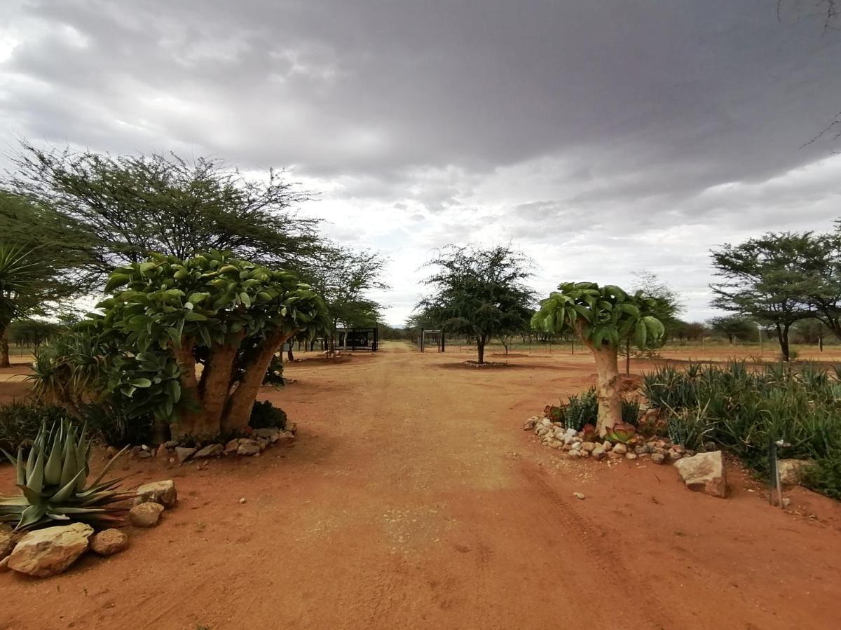 Lion'S Den Guesthouse Otjiwarongo Buitenkant foto