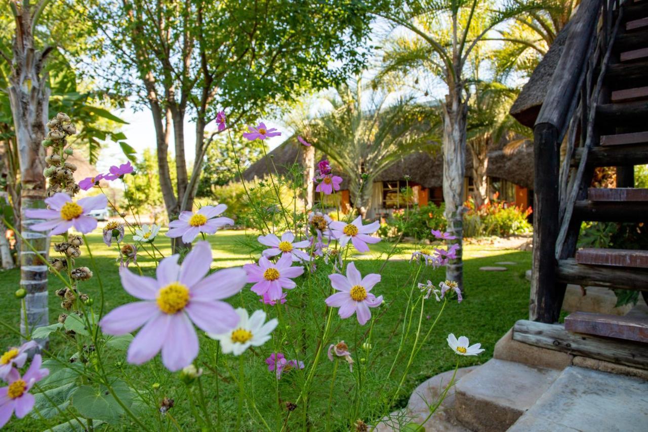 Lion'S Den Guesthouse Otjiwarongo Buitenkant foto